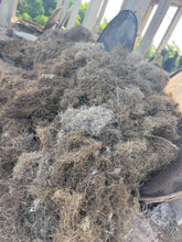 Charger l'image dans la galerie, Huile de vetiver d'Haïti