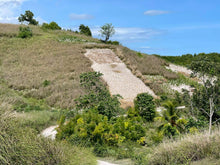 Charger l'image dans la galerie, Huile de vetiver d'Haïti