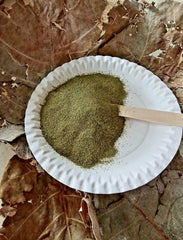 Poudre de moringa 1 kg